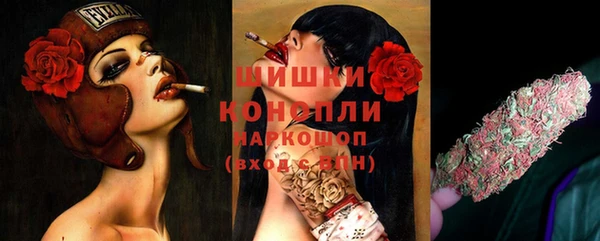ГАЛЛЮЦИНОГЕННЫЕ ГРИБЫ Беломорск