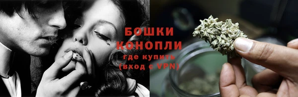 дмт Белокуриха
