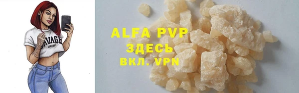 дмт Белокуриха