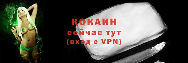 дмт Белокуриха