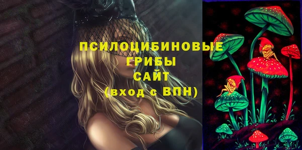 дмт Белокуриха