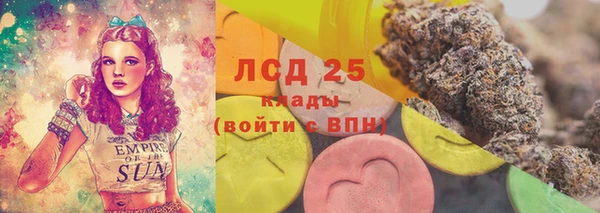 ГАЛЛЮЦИНОГЕННЫЕ ГРИБЫ Беломорск