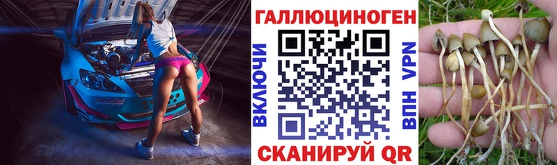 Псилоцибиновые грибы MAGIC MUSHROOMS  Сычёвка 